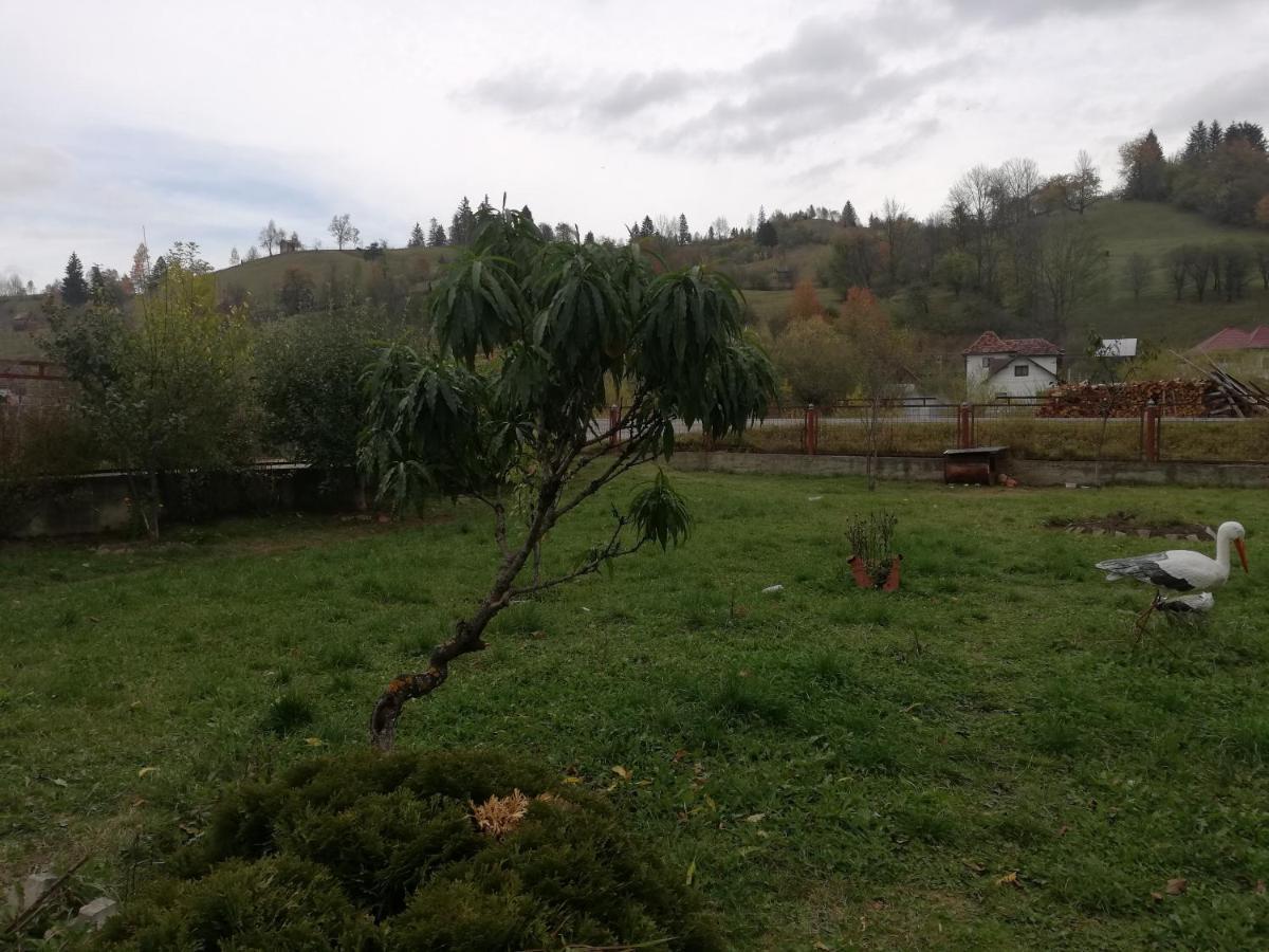 Casa Cozorici Hotel Sadova  Eksteriør billede